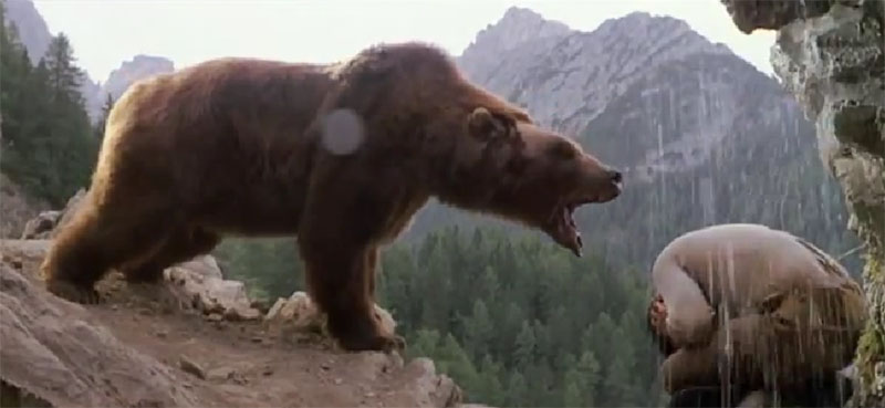 orso film