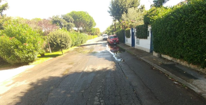 perdita cesenatico ok