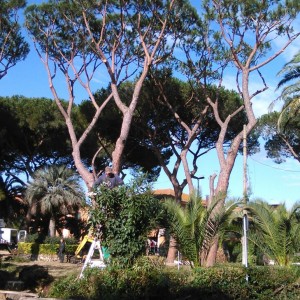 piazza Maccarese pulizia 2