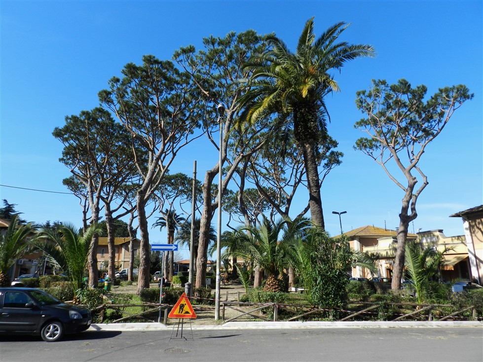 piazza del maccarese 2 marzo (979 x 734)
