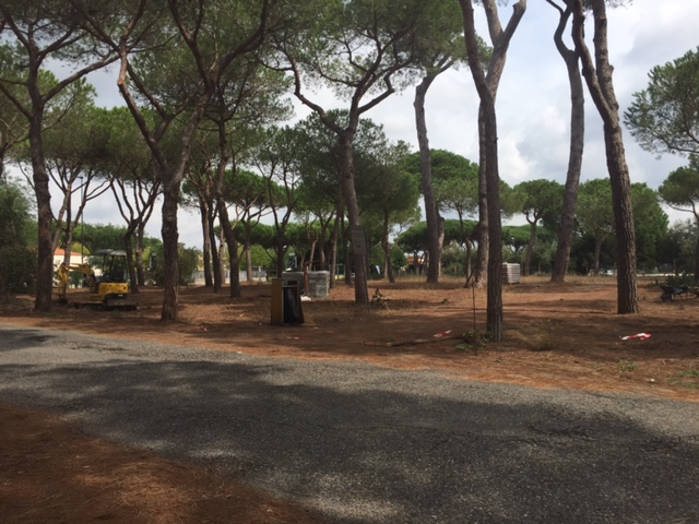recinzione pineta