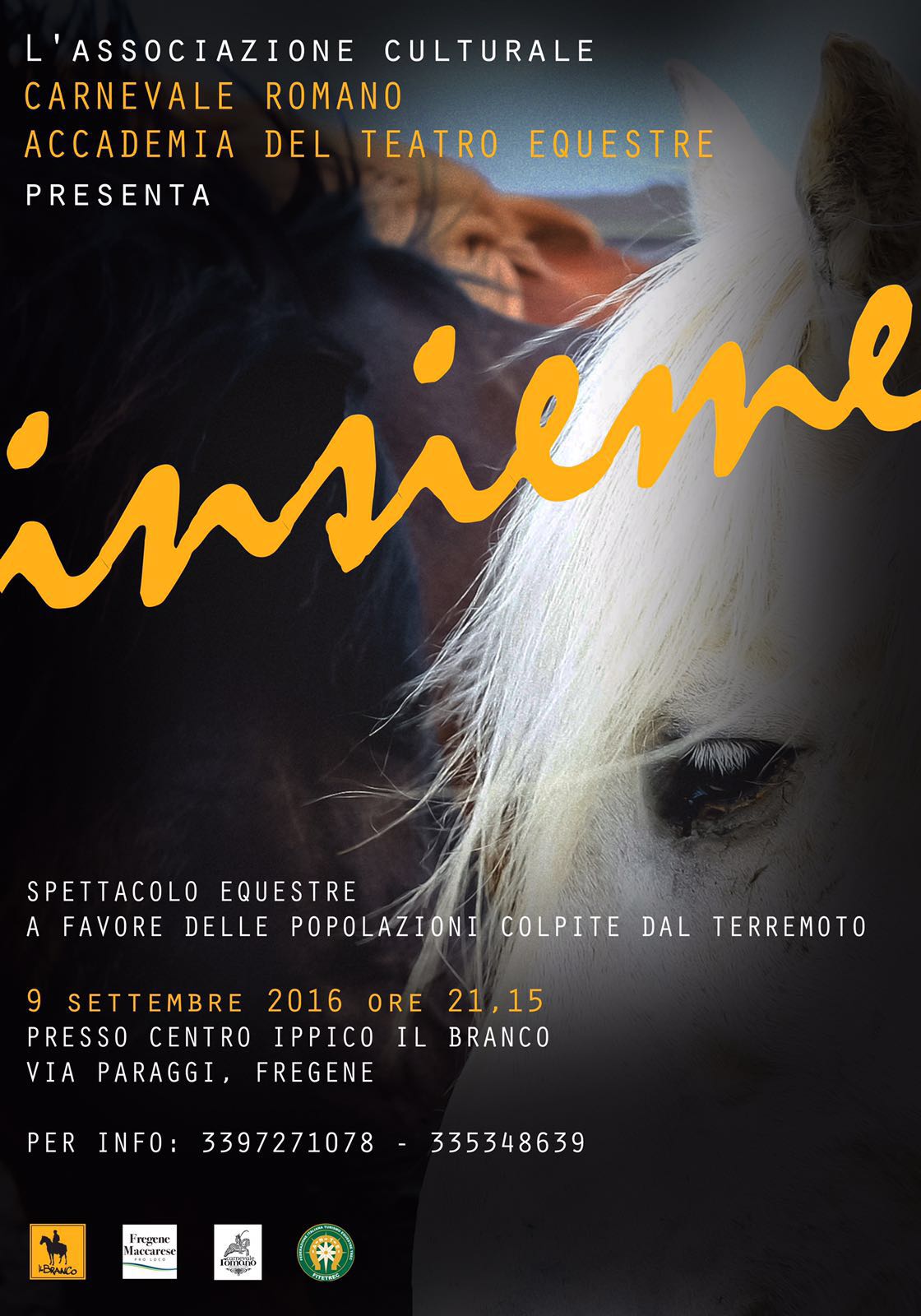 spettacolo equestre Branco