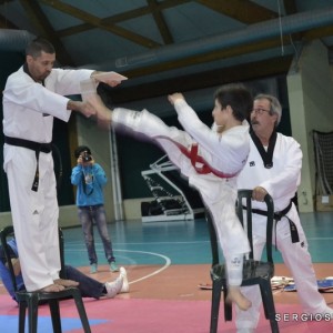 taekwondo2