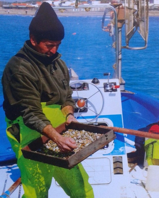 telline pesca web