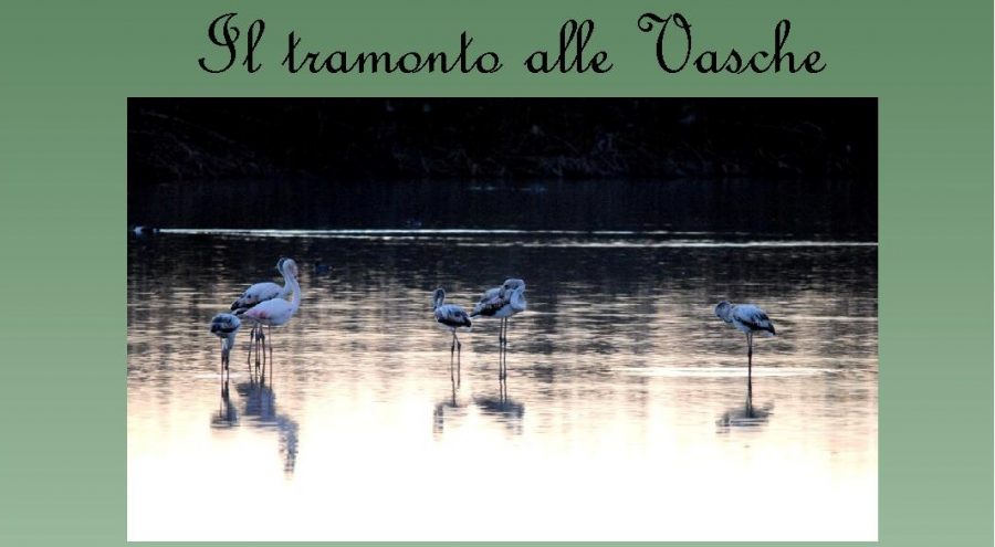 tramonto vasche