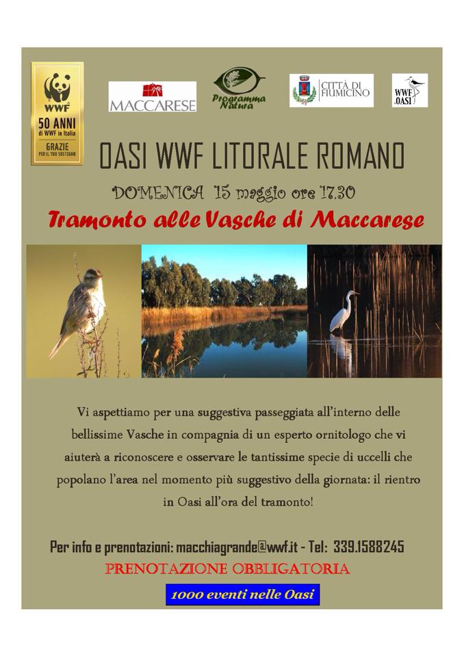 vasche 1