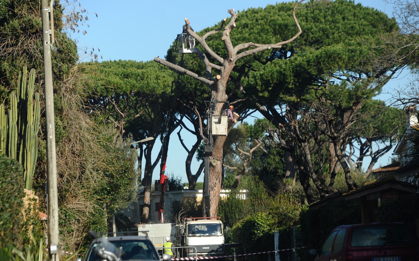 via Cetara taglio pino web