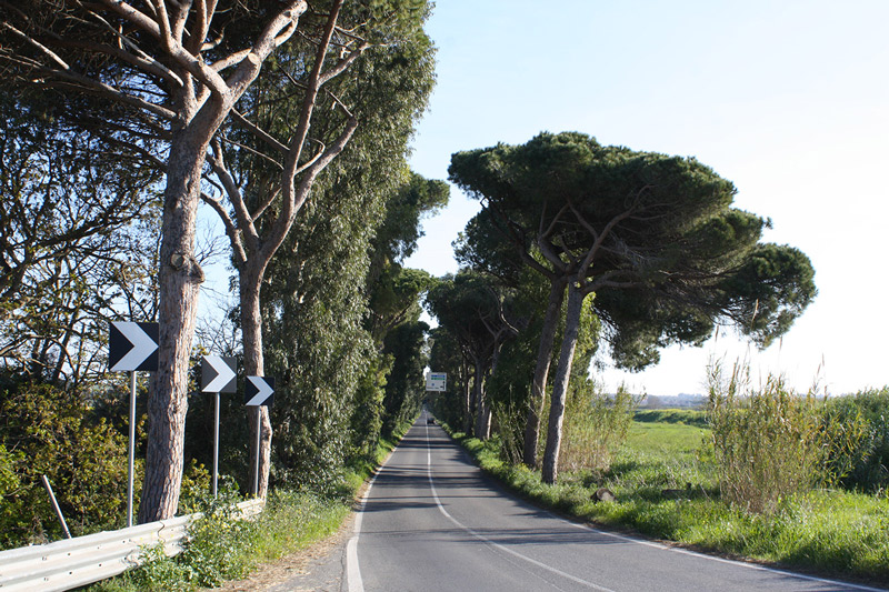 pini via san carlo palidoro