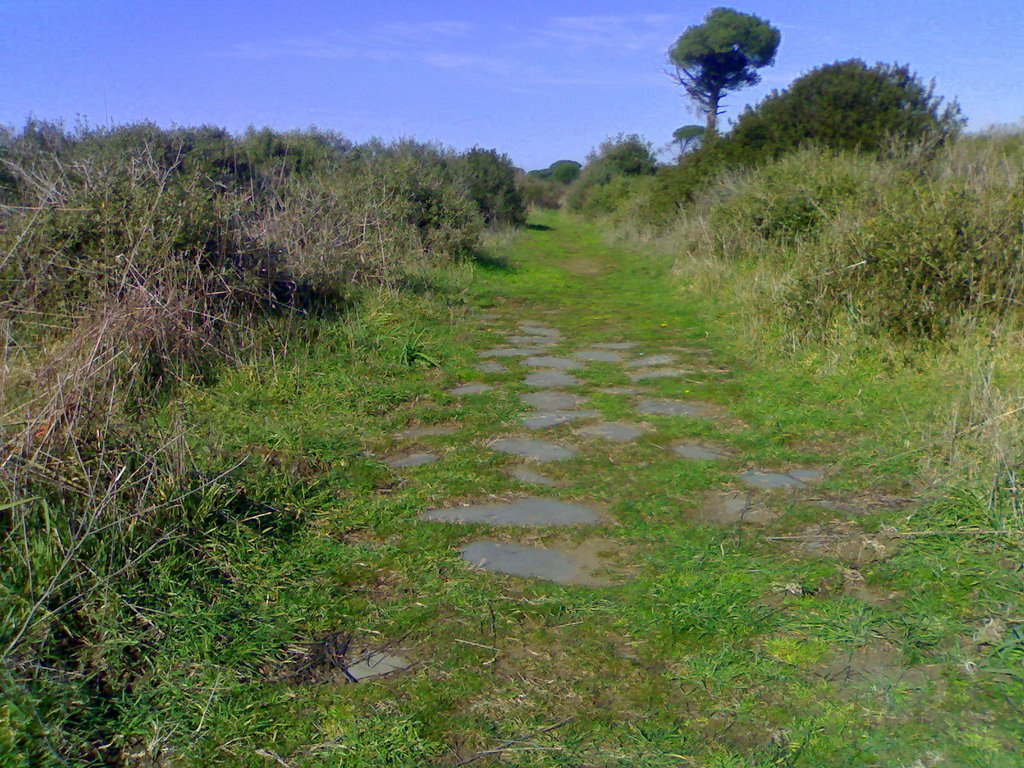 via severiana