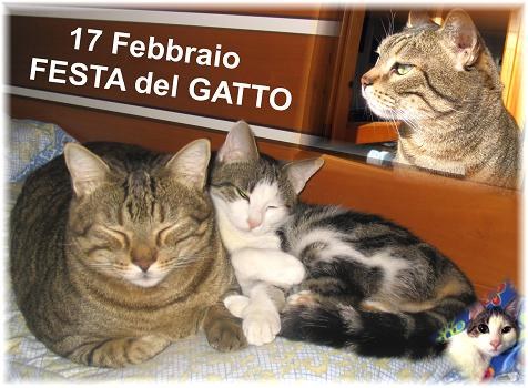 Festa del gatto