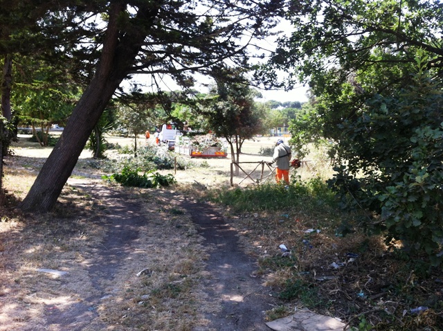 Parco giochi pulizia m