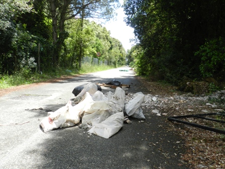 Rifiuti in strada  1 calcinacci