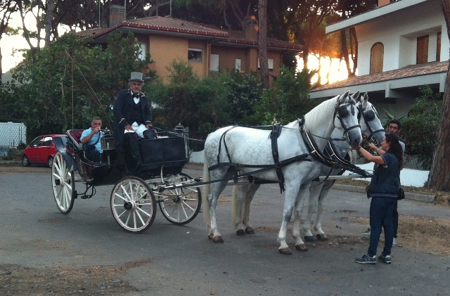 carrozza m