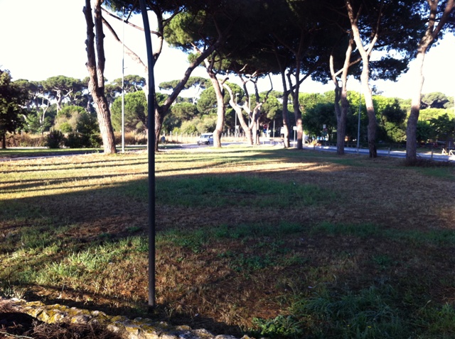 fontana area verde pulita m