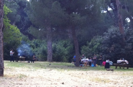 pineta scampagnata m