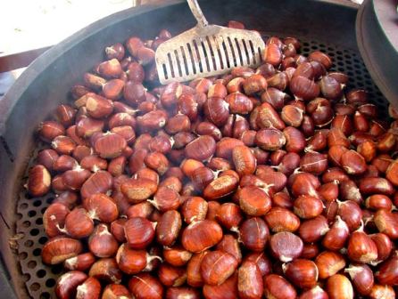castagne_md