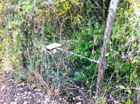 lecceta_tabella_bosco_2_m