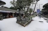 neve_17dic10_viale_Castellammare_lgt