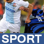 sport-template