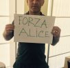 Forza Alice 6