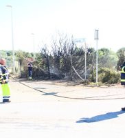 Incendio protezione civile macchia