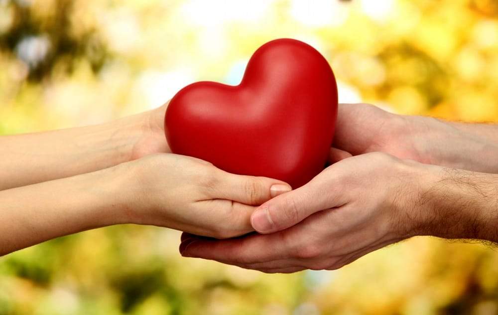 Il grande cuore della Rivetta, spesa e pasti - Fregeneonline.com
